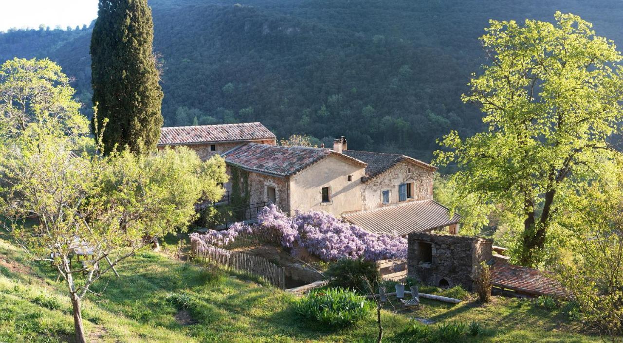 Gite Le Cambon Mialet (Gard) Exterior foto